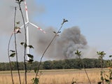 Waldfrand Gänserndorf
