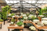 Das Gartencenter in Leonding bei Linz ist auch Firmensitz.