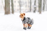 Winterzeit, Mantelzeit: Warum Hundekleidung sinnvoll sein kann