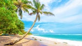 Tropische Traumziele: Wo der Urlaub 2025 noch relativ günstig ist