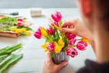 Achtung: Warum Sie jetzt noch keine Tulpen kaufen sollten