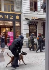 LinksRechtsWienDemo