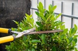 Achtung: Diese Gartenarbeit ist nur noch bis Ende Februar erlaubt