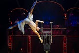 Auftakt für den Circus Roncalli mit Lili-Paul-Weltpremiere
