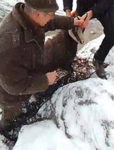 Gams gerettet Grundlsee