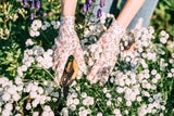 Achtung: Die größten Gartenfehler im Frühjahr – und wie Sie es besser machen