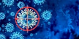 Antikörper und Immunzellen bekämpfen einen Erreger und beseitigen ihn aus dem Körper. 