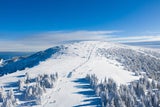 Perfekt für Tagesausflüge: Die besten Skigebiete in der Nähe von Wien