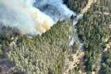 Waldbrand in Schwarzau&nbsp;