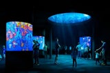 Neue Attraktion: Schönbrunn bekommt Mega-Aquarium
