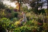 Manche Dinge schaden dem Garten mehr als, dass es ihm nützt.