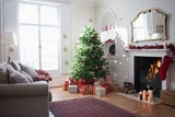 Blitz-Putztipps: Das sollten Sie noch vor Weihnachten putzen