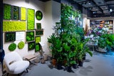 Blumenkauf wird in Salon Verde zur Auszeit vom Alltag