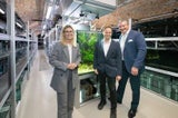 Neue Attraktion: Schönbrunn bekommt Mega-Aquarium
