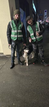 Die Tierschützer retteten den Husky.