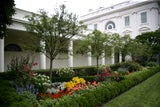 Der prachtvolle Rosengarten wurde vor dem West Wing angelegt. Auf der Ostseite befindet sich das florale Gegenstück, der Jacqueline Kennedy-Garden, den die damalige First Lady gestalten ließ.