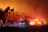 Feuer L.A.