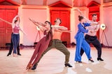 Dancing Stars - das Casting