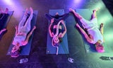 Yoga mit Schlangen soll der Angstbewältigung dienen.