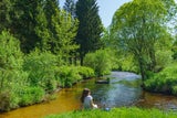 Johannesweg: Zwischenstromwiese an der Aist