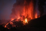 LA Palma