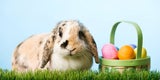 Trauriges Ostern: Keine Familienfeiern, keine Gottesdienste