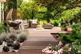 Damit Mensch und Tier den Sommer auf Balkon oder Terrasse genießen können, sollten diese üppig begrünt werden – ob mit Sträuchern, Kübel- oder Kletterpflanzen. 