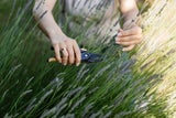 Keine andere Pflanze wirkt so entspannend wie Lavendel, dessen Blüten eine Wohltat für Auge und Nase sind. Gründe, um ihn in den Garten zu holen. 