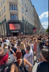 swifties