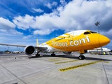 Boeing 787-8 Dreamliner bietet Platz für 329 Passagiere in zwei Kabinenklassen.