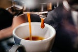 Experte: Koffein-Gen entscheidet, ob Kaffee wach oder krank macht