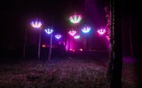 Magischer Lichtergarten im Schlosspark Laxenburg