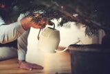 Die besten Tipps: So verhindern Sie, dass der Christbaum nadelt