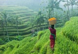 World Giving Index 2024: So geizig sind die Österreicher