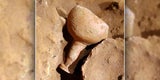 'Die Geschichte imitiert die Kunst': Unter den Artefakten befand sich ein Keramikbecher, der die Form des Heiligen Grals hatte (im Bild zu sehen).&nbsp;