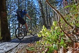 Mit dem E-Bike können Naturliebhaber und Aktivurlauber die imposante Berg- und Seenwelt des Salzkammerguts aus einem neuen Blickwinkel erleben.