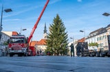 Das Herzstück des Christkindlmarktes  , eine ca. 20 Meter hohe Fichter aus Traismauer, wurde am Dienstag am Rathausplatz aufgestellt.