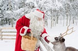 Santas wichtigsten Mitarbeiter, die Rentiere, wollen gut versorgt werden.
