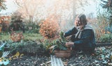 Gärtnern im Herbst: Was Sie jetzt pflanzen können