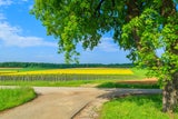 Die schönsten Frühlings-Radtouren im Südburgenland