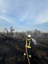 Waldbrand Gänserndorf