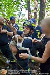Hund "Spotty" nach zwei Tagen aus Felshöhle gerettet
