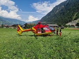 Allergischer Schock nach Wespensteichen