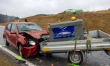 Unfall tote Fische Kollerschlag OÖ