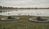 Lagune