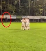Nach Fan-Eklat: Anzeige gegen Ex-ÖFB-Star