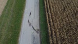 mofa unfall 15-Jähriger tot