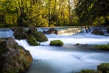 Englischer Garten
