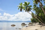 Tropischer Traumstrand in Savusavu auf den Fidschi Inseln.