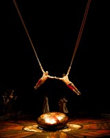 Nach Sturz: So geht es dem Cirque du Soleil-Artist